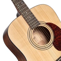 Cort Acoustic Guitar Earth Pack Bundle