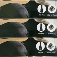 Cort Acoustic Guitar Earth Pack Bundle