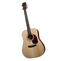 Cort Acoustic Guitar Earth Pack Bundle