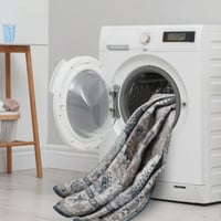 Wyatt & Ash Machine Washable Area Rug, Geraldine - NEW