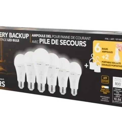 globe power reserve battery backup bulb (6 bulb)