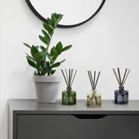 Bellevue 3 Pack Glass Filled Reed Diffusers, 6 Oz. Island Citrus Driftwood Sand 9