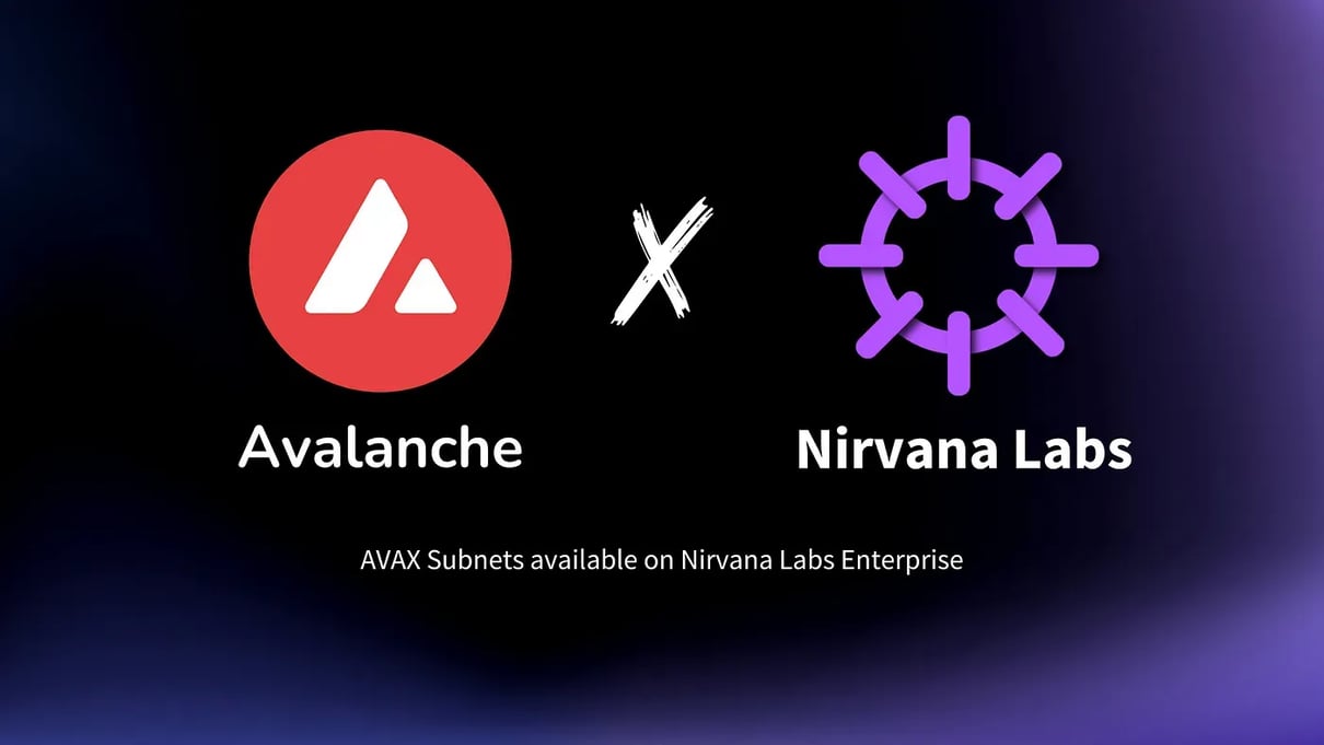 An image showing the Avalanche Blockchain logo along with the Nirvana Labs logo