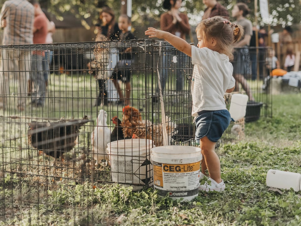 Harvest Fest 24' — photograph 18 of 82