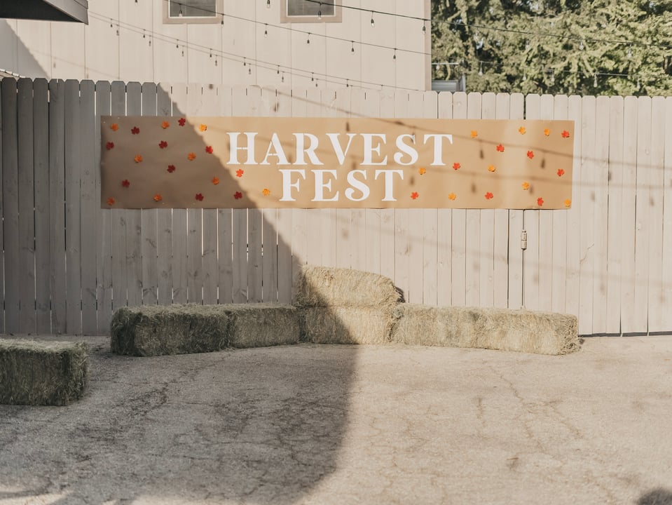 Harvest Fest 24' — photograph 37 of 82