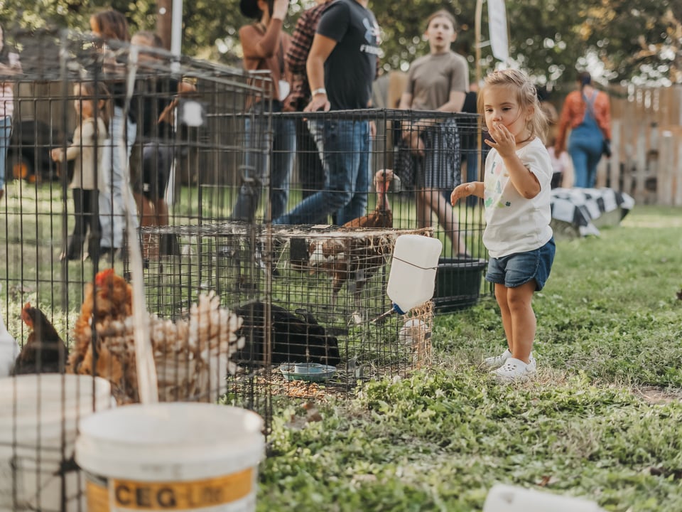 Harvest Fest 24' — photograph 19 of 82