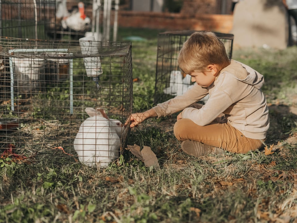 Harvest Fest 24' — photograph 42 of 82