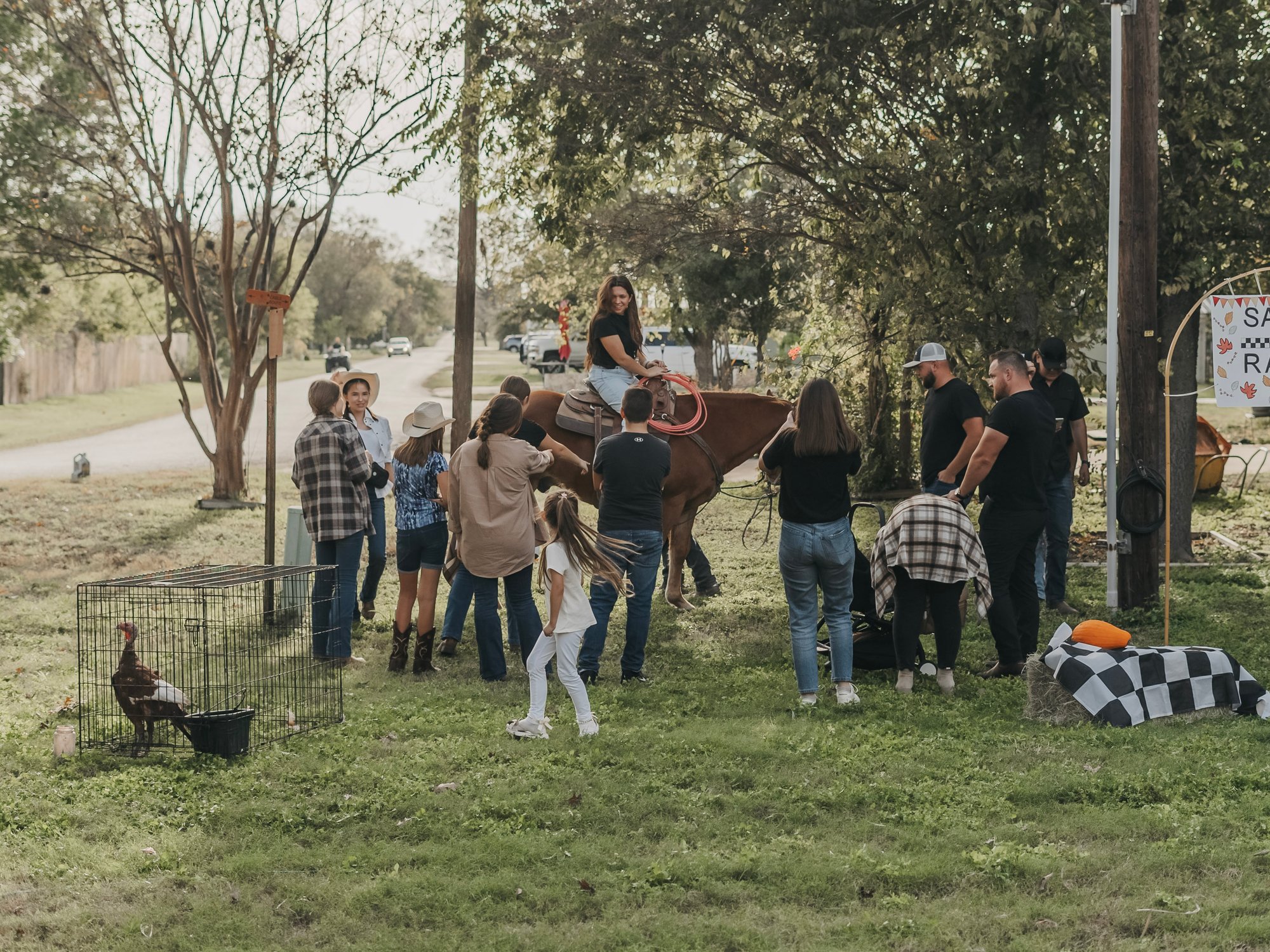 Harvest Fest 24' — album