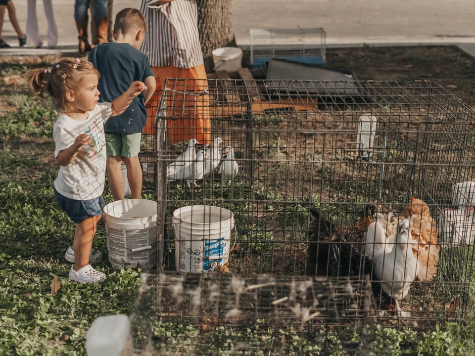 Harvest Fest 24' — photograph 58 of 82