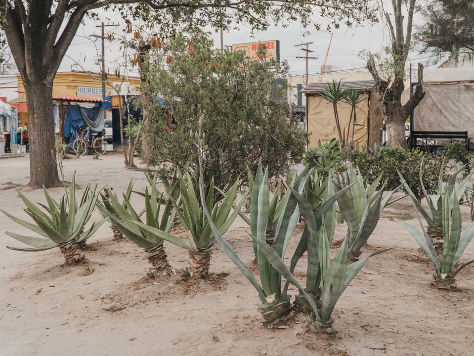 Mexico Trip 24' — photograph 129 of 134