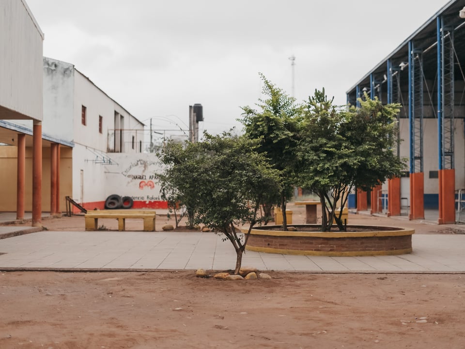 Argentina Trip 23' — photograph 385 of 484