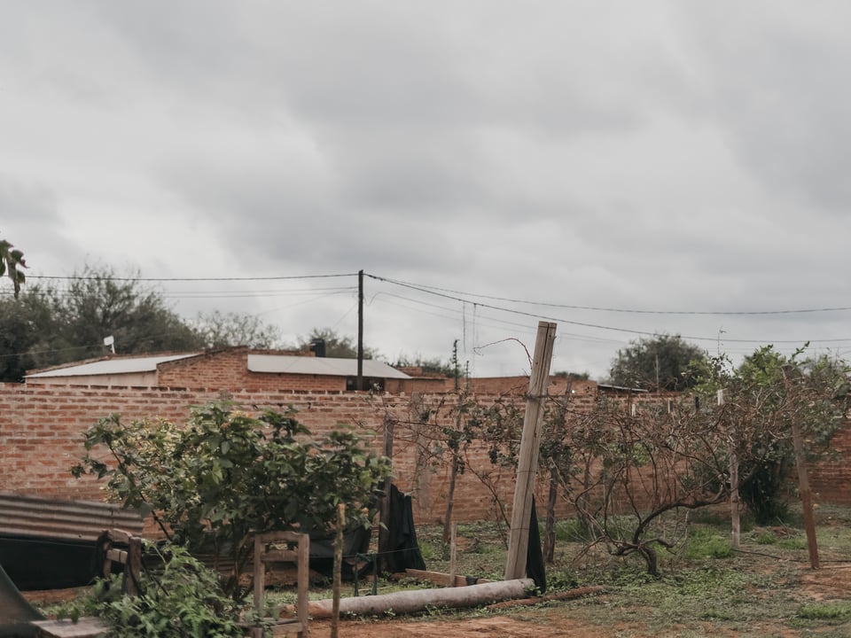 Argentina Trip 23' — photograph 443 of 484
