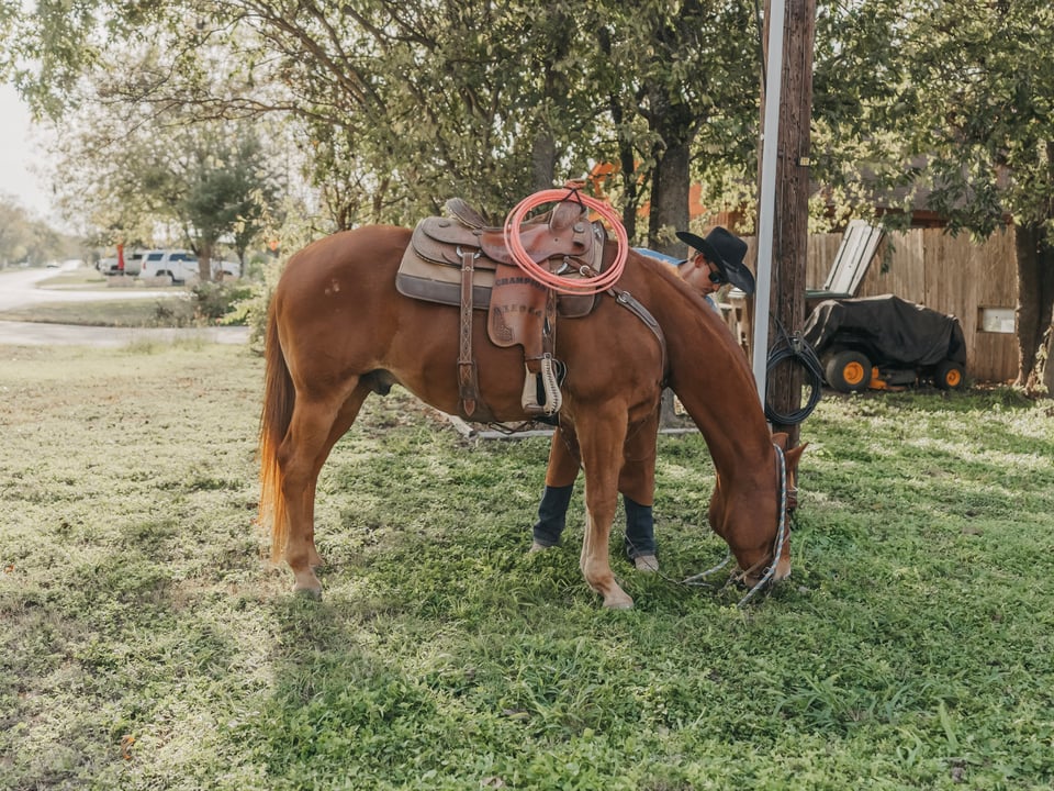Harvest Fest 24' — photograph 38 of 82