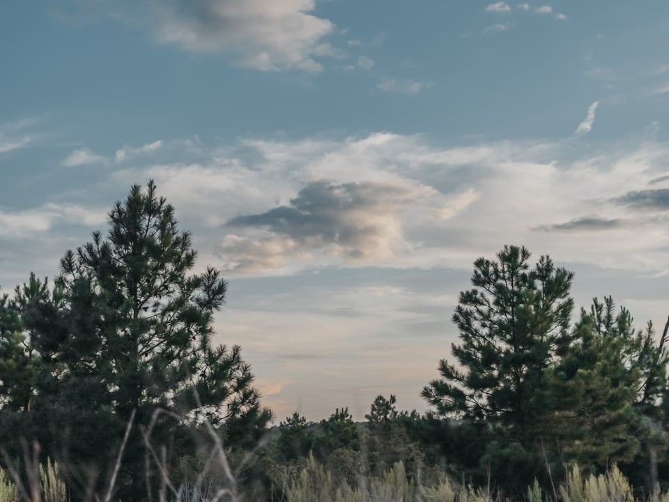 Youth Camp 24' — photograph 201 of 256