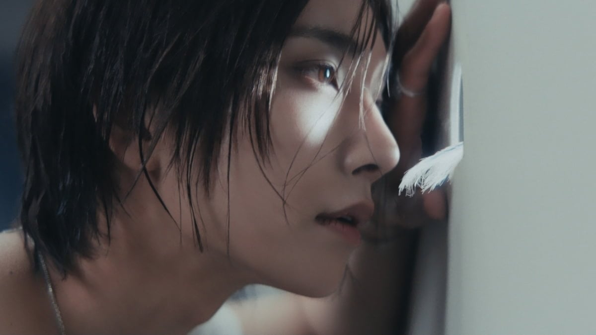 SEVENTEEN Jeonghan X Joshua 'DREAMSCAPE' / PLEDIS Entertainment
