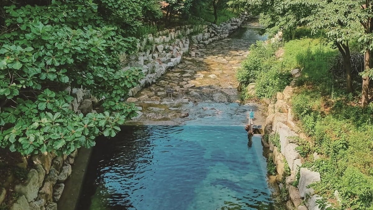 Goodbye Seoul: Why Haenam Should Be Your Next Korean Getaway