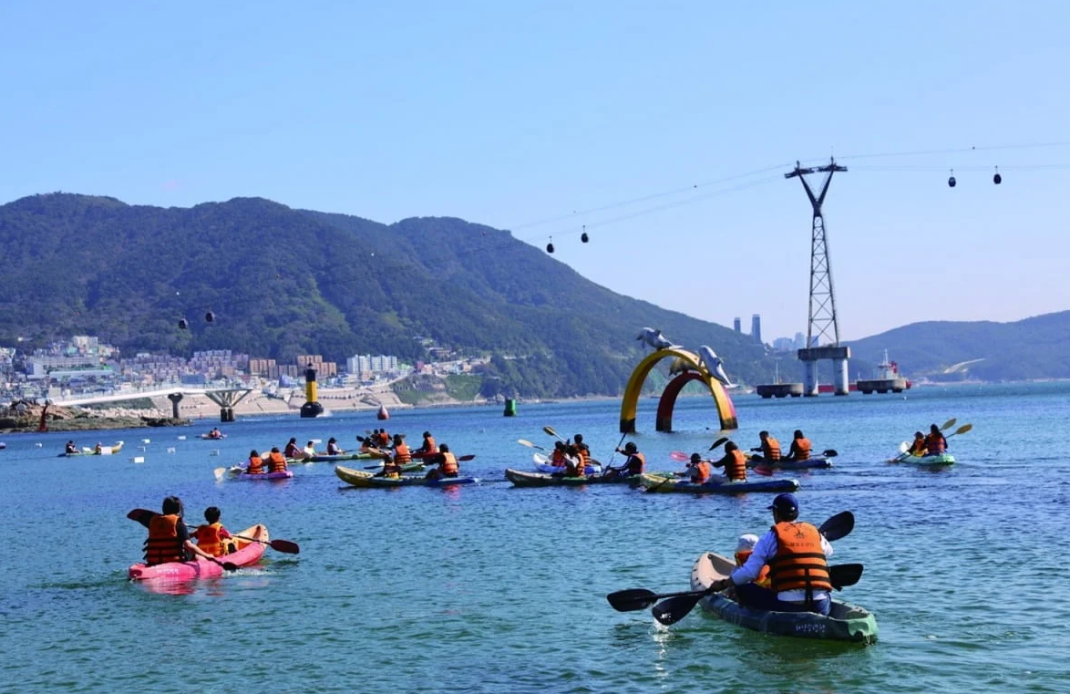 Seo-gu, Busan: Busan Mackerel Festival, Kayaking and Mackerel Fishing Program