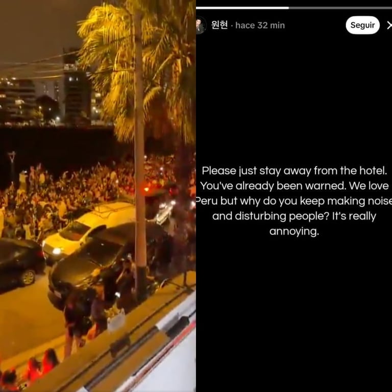 BTS Fans Outside Their Hotel and Dancer Speaking Out on Social Media / Web Capture