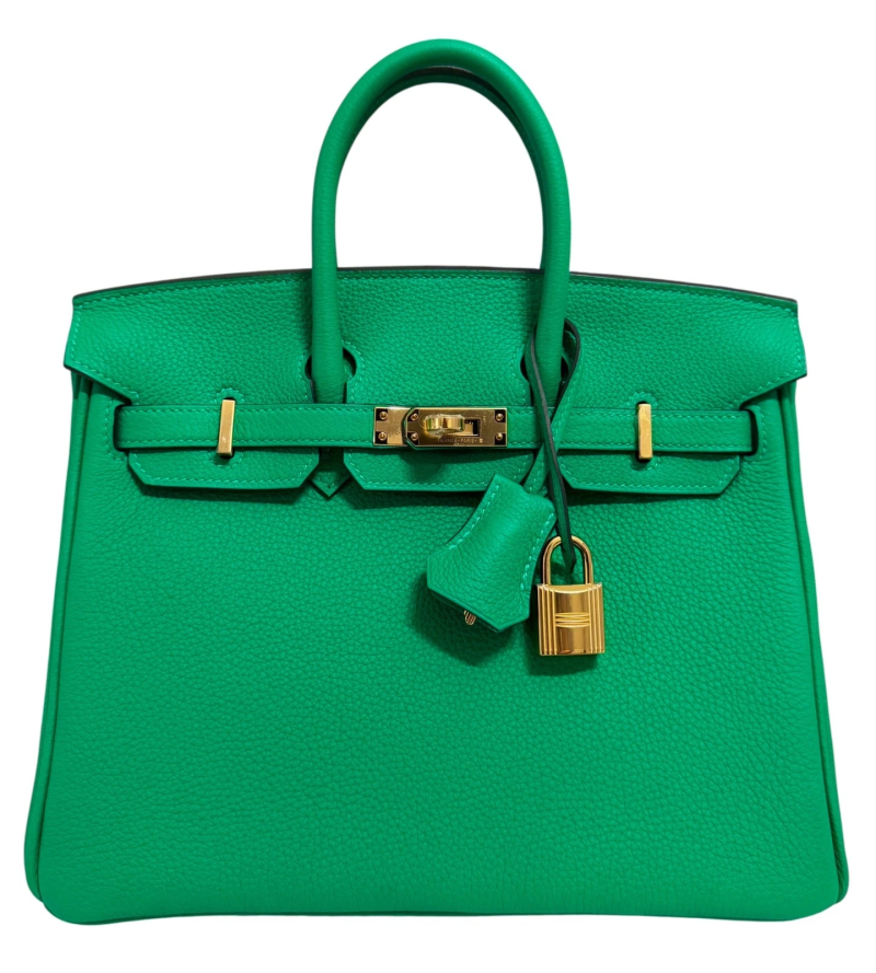 Hermes Menthe Togo Birkin 25 Gold Hardware, 2024