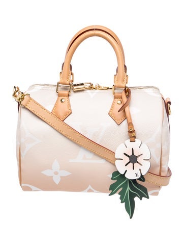 LV Monogram Speedy Bandouliere 25