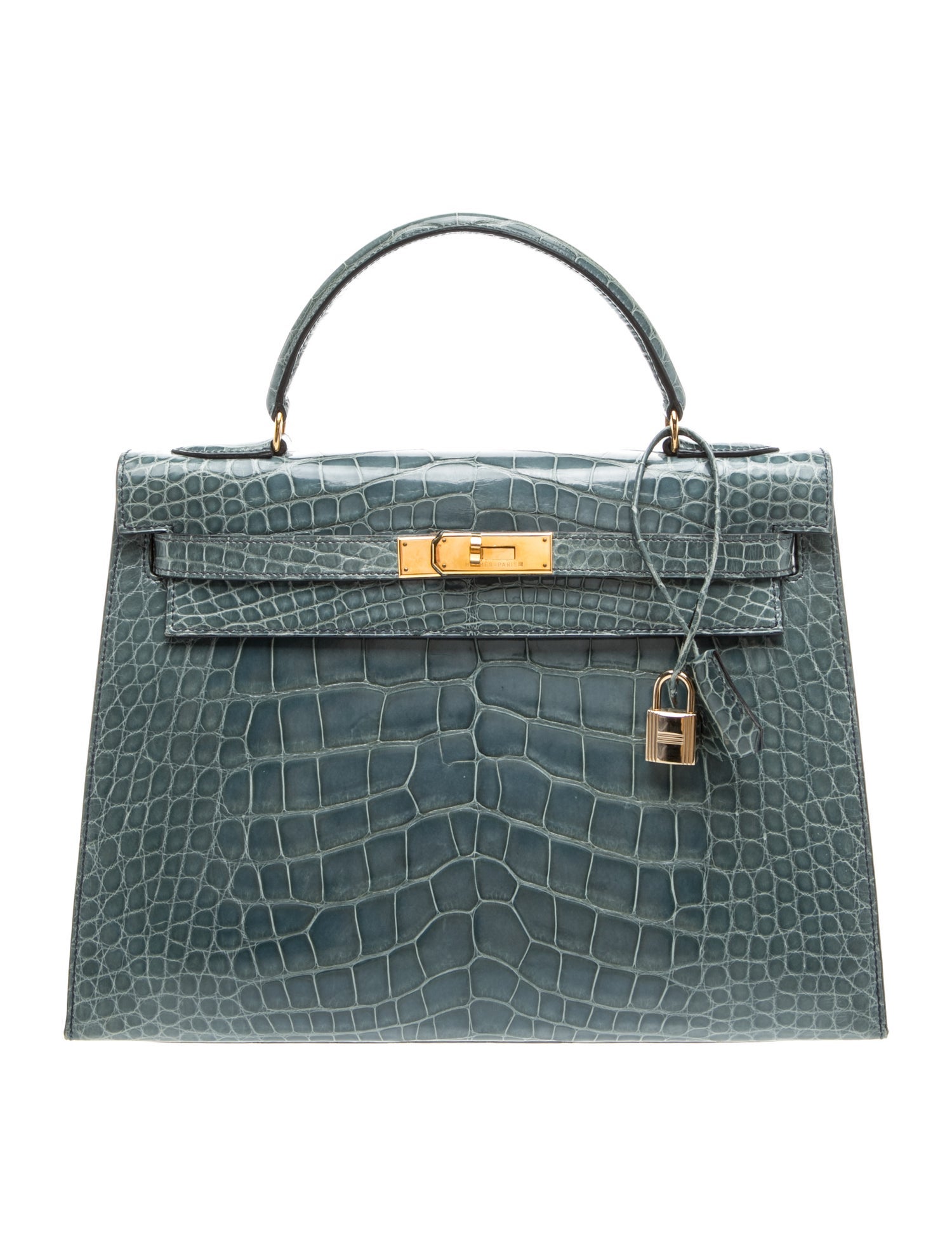 Shiny Alligator Mississippiensis Kelly Sellier 32
