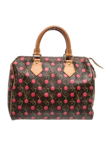 LV Monogram Speedy 25