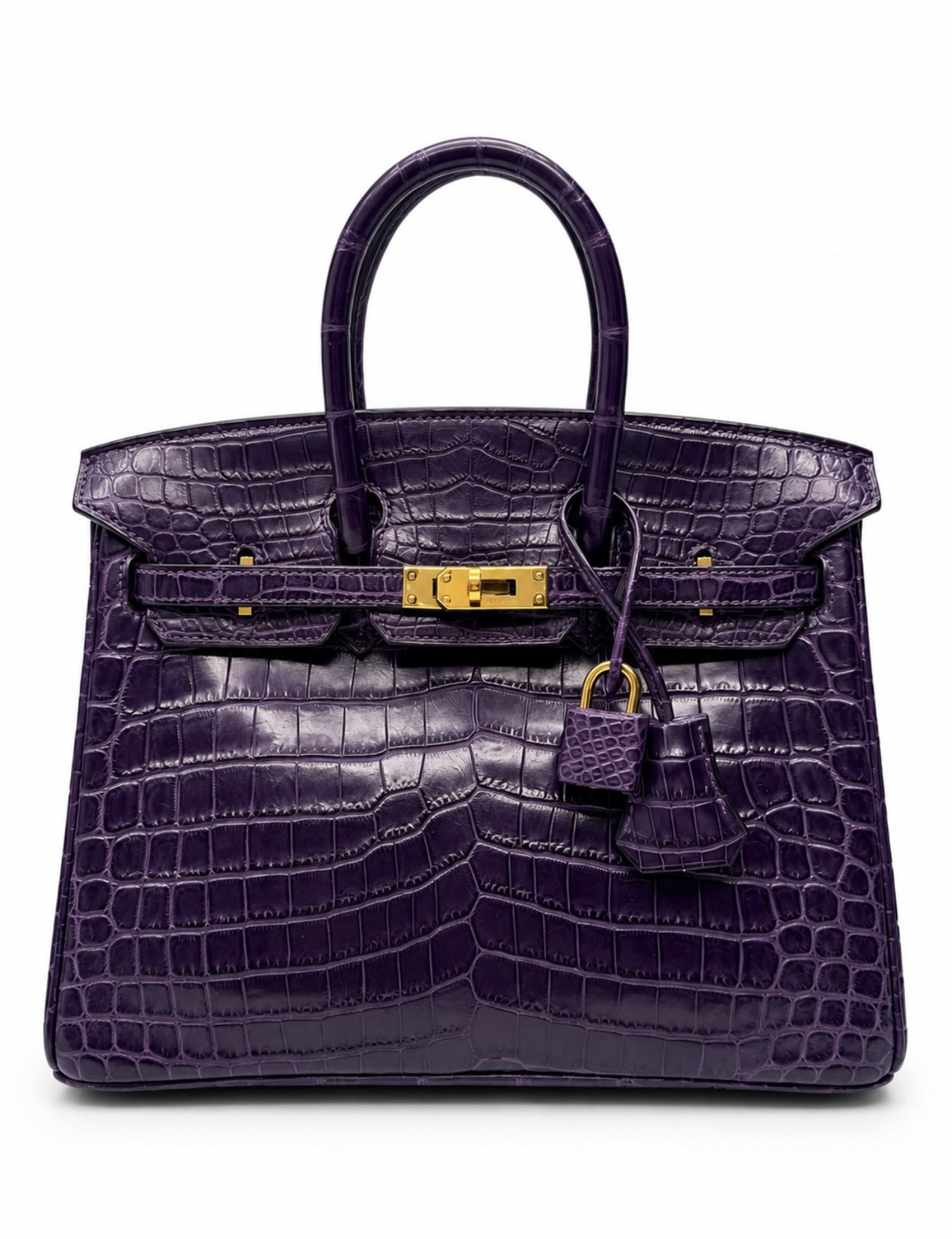 Niloticus Crocodile Birkin 25