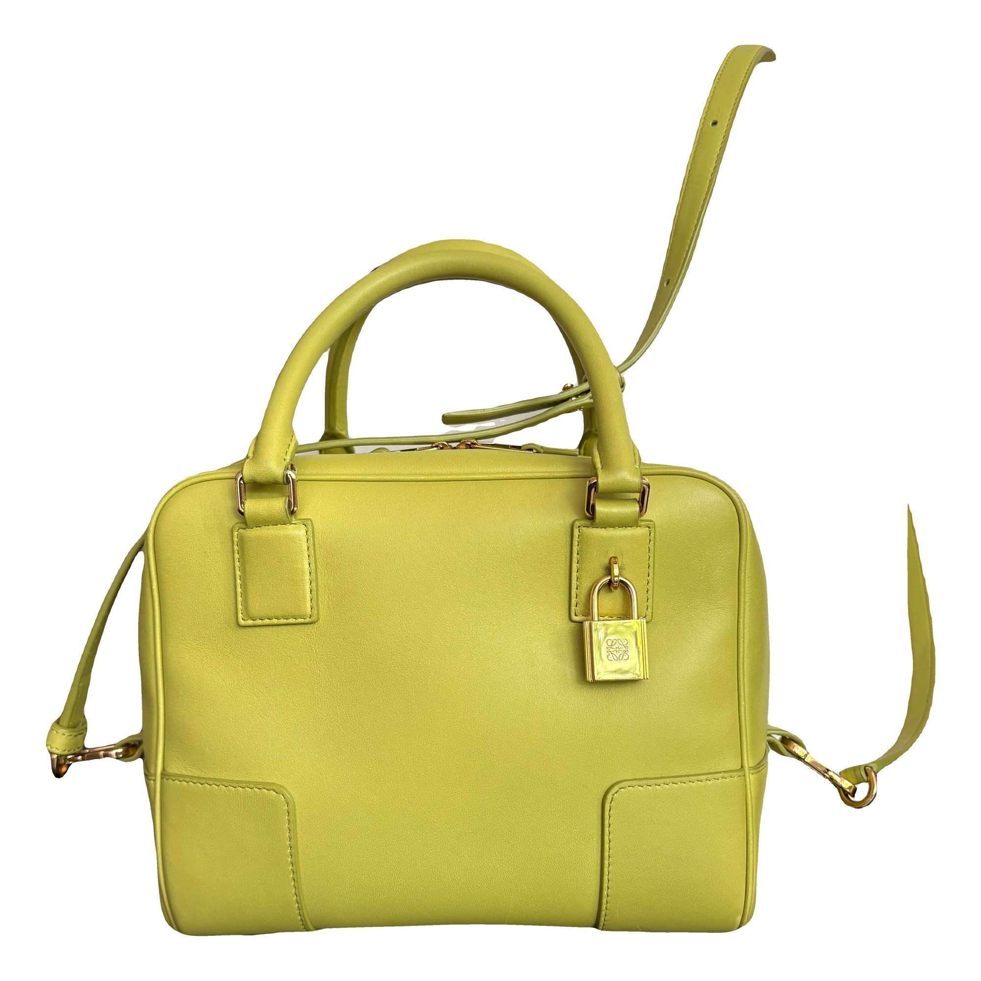 Amazona 75 leather handbag