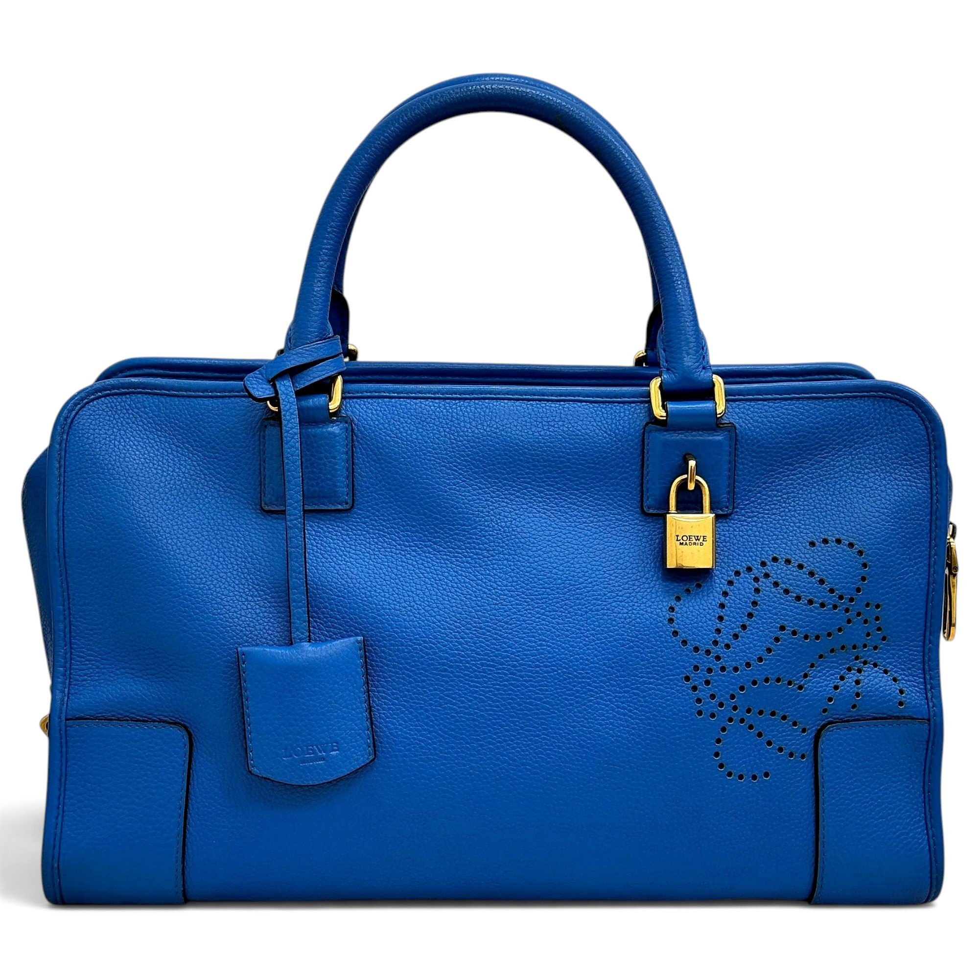 Amazona leather handbag