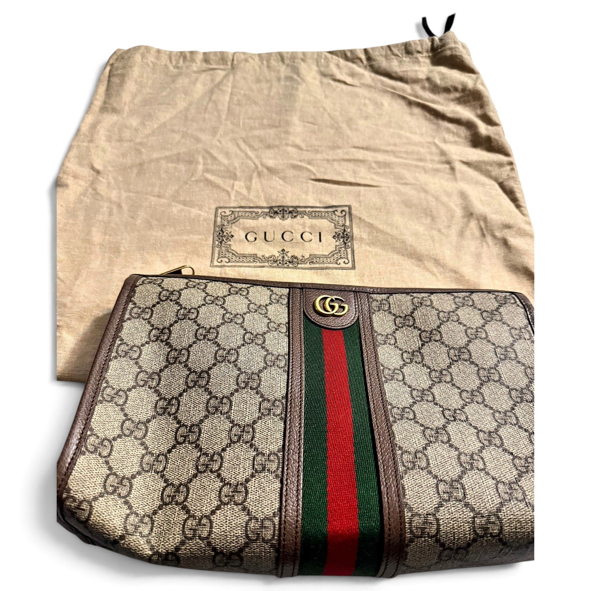 Ophidia cloth clutch bag