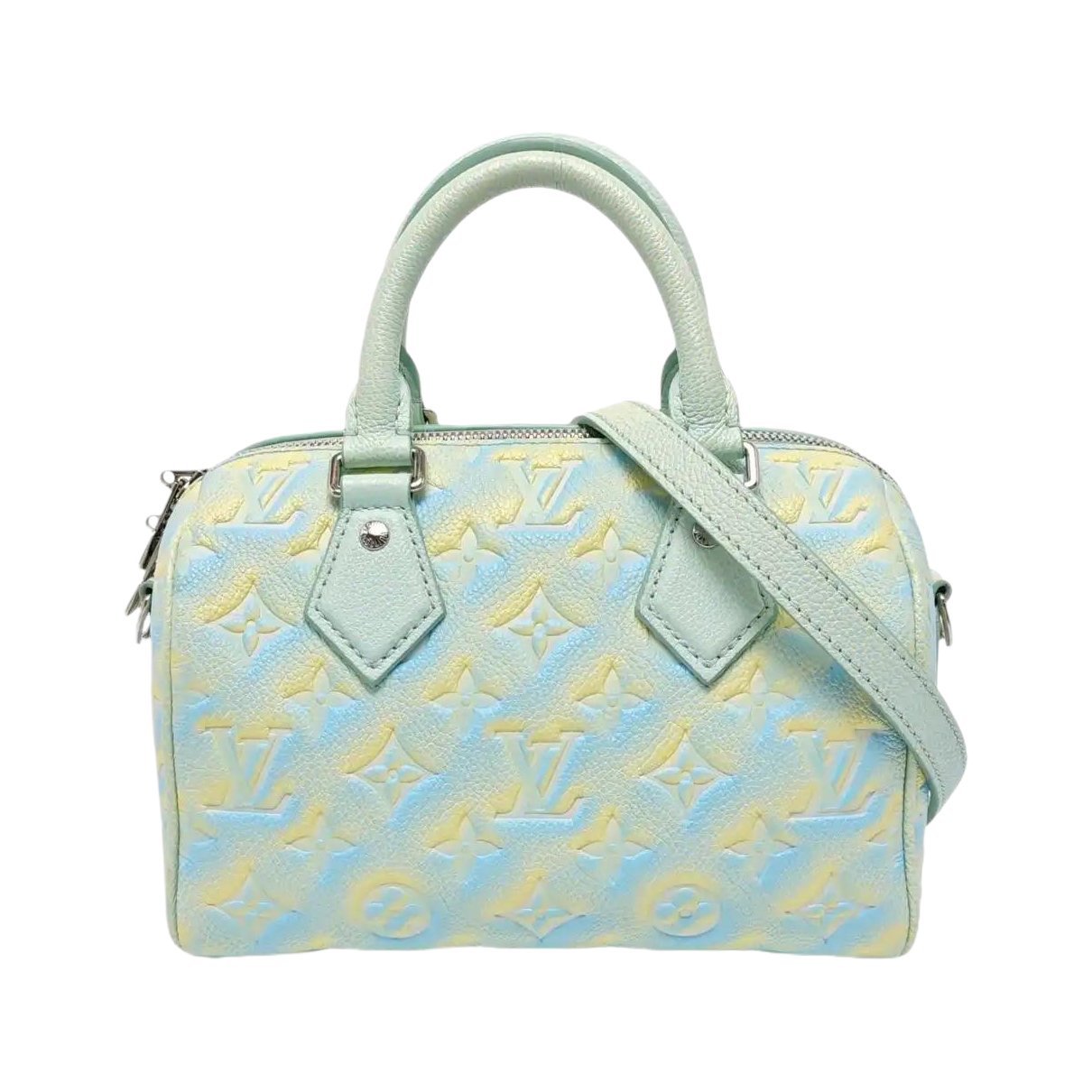 Nano Speedy / Mini HL leather handbag