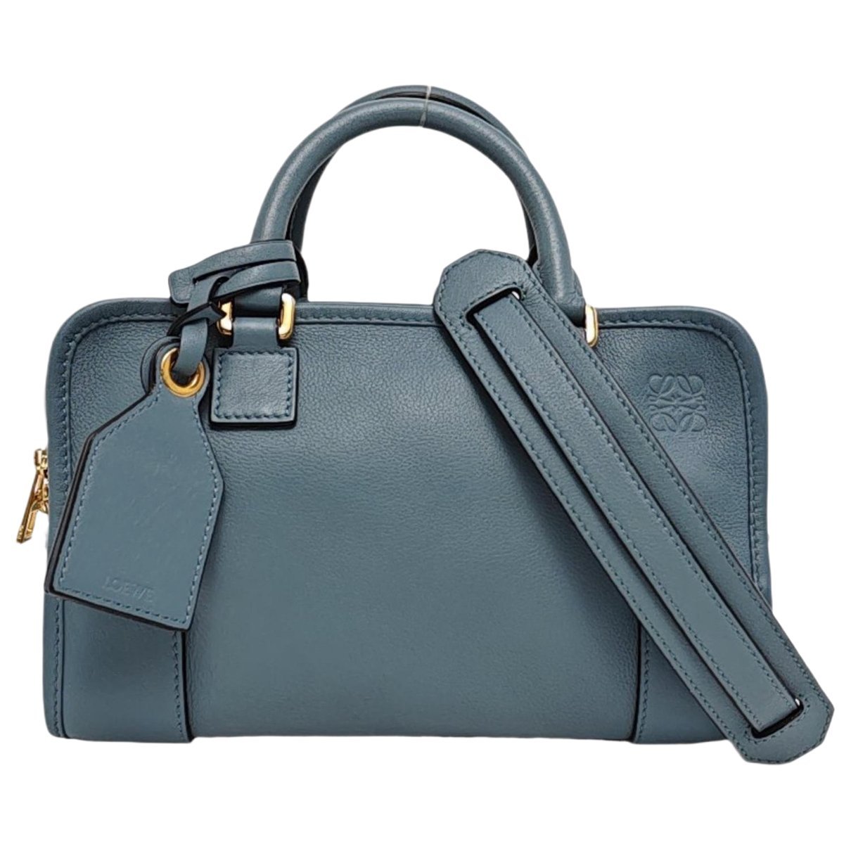 Amazona leather handbag