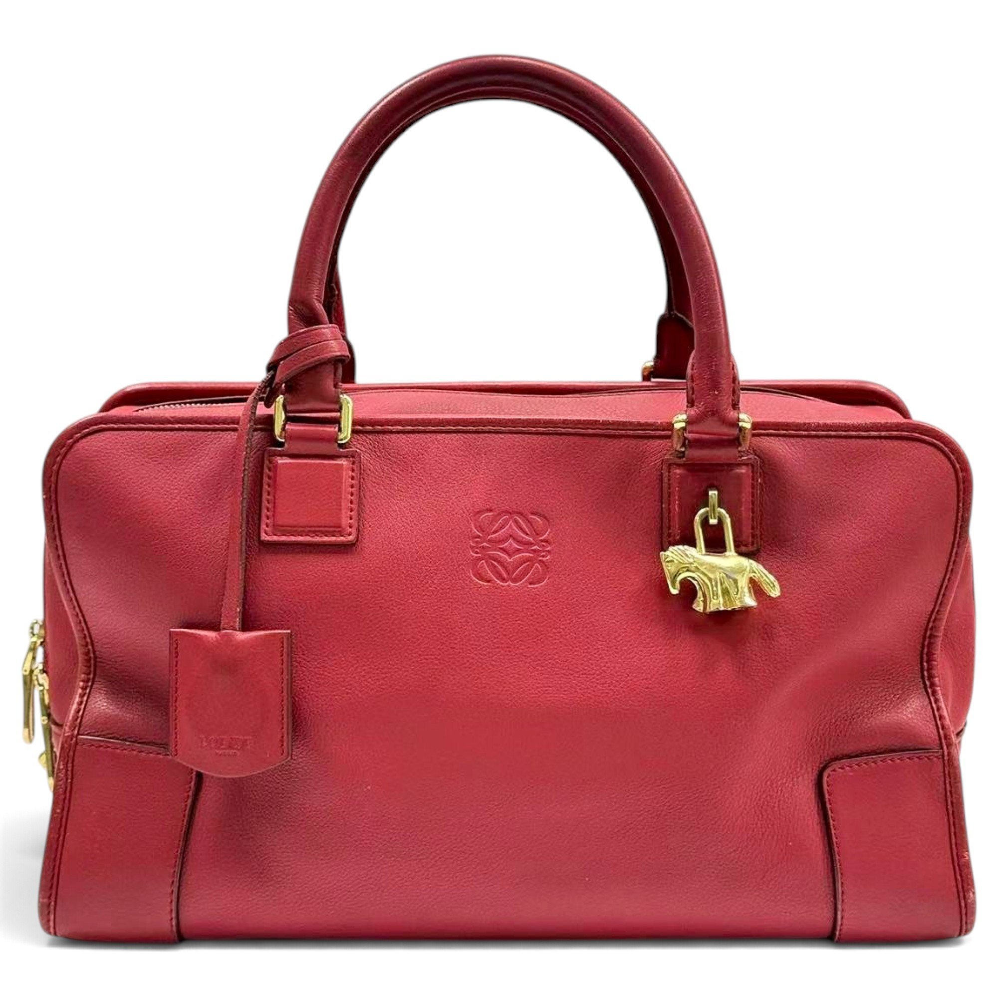 Amazona leather handbag