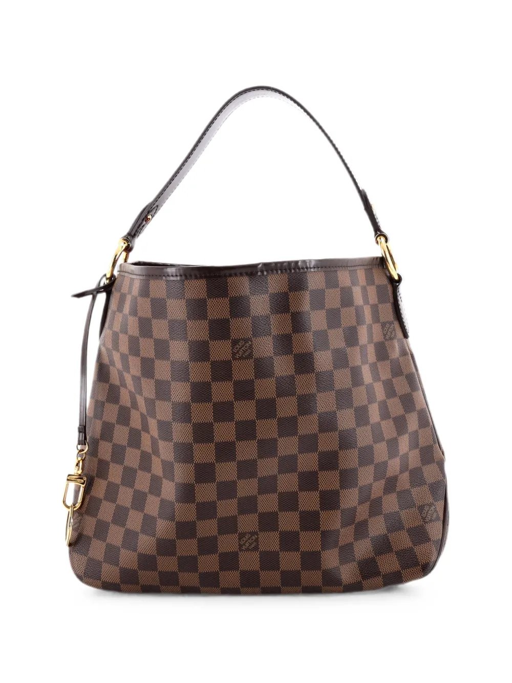 Delightful NM Handbag Damier PM hobo bag