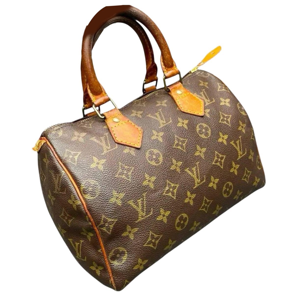 Louis Vuitton Speedy leather handbag