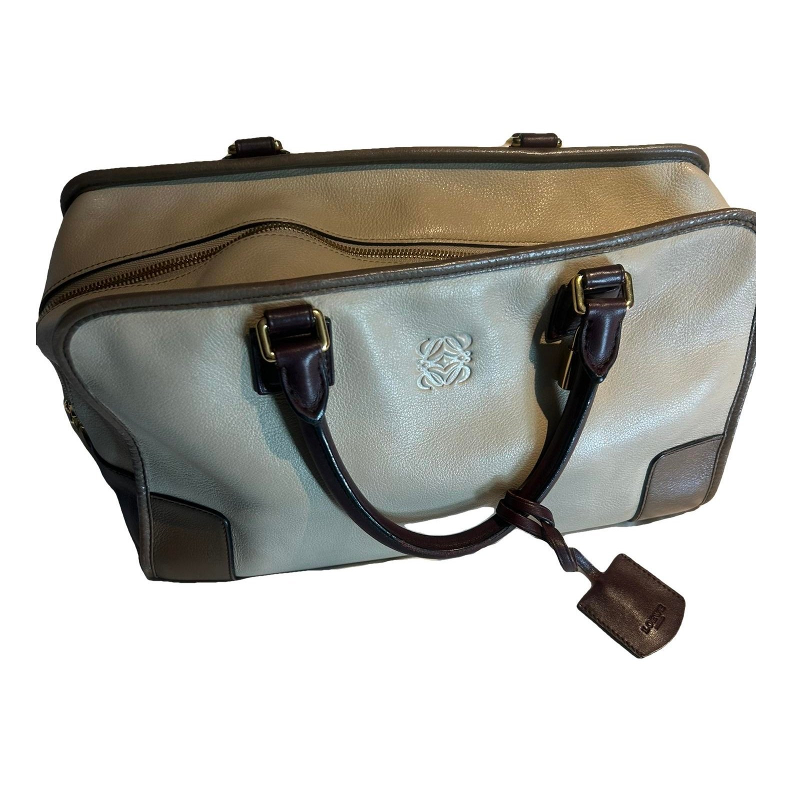 Amazona leather handbag