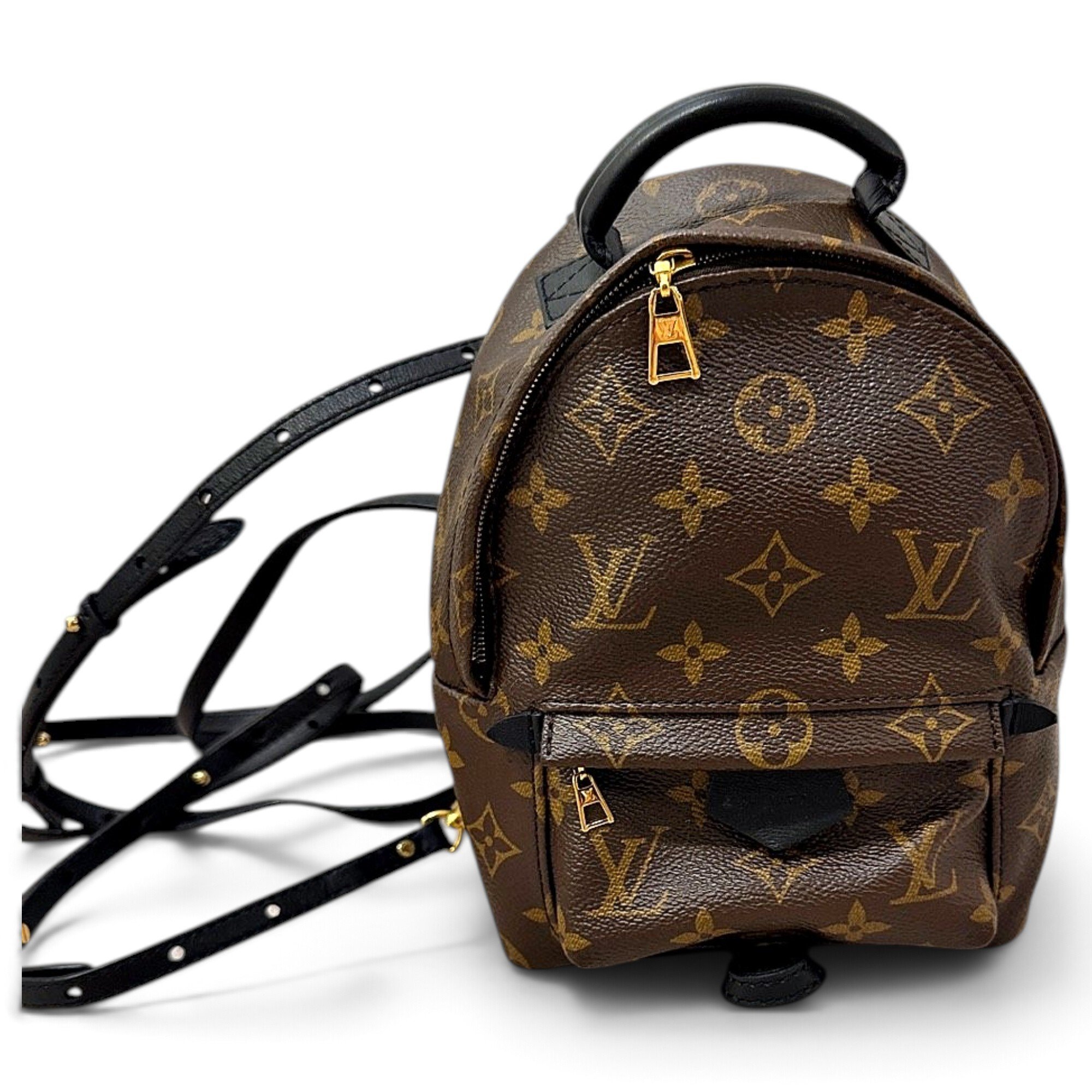 Palm Springs backpack