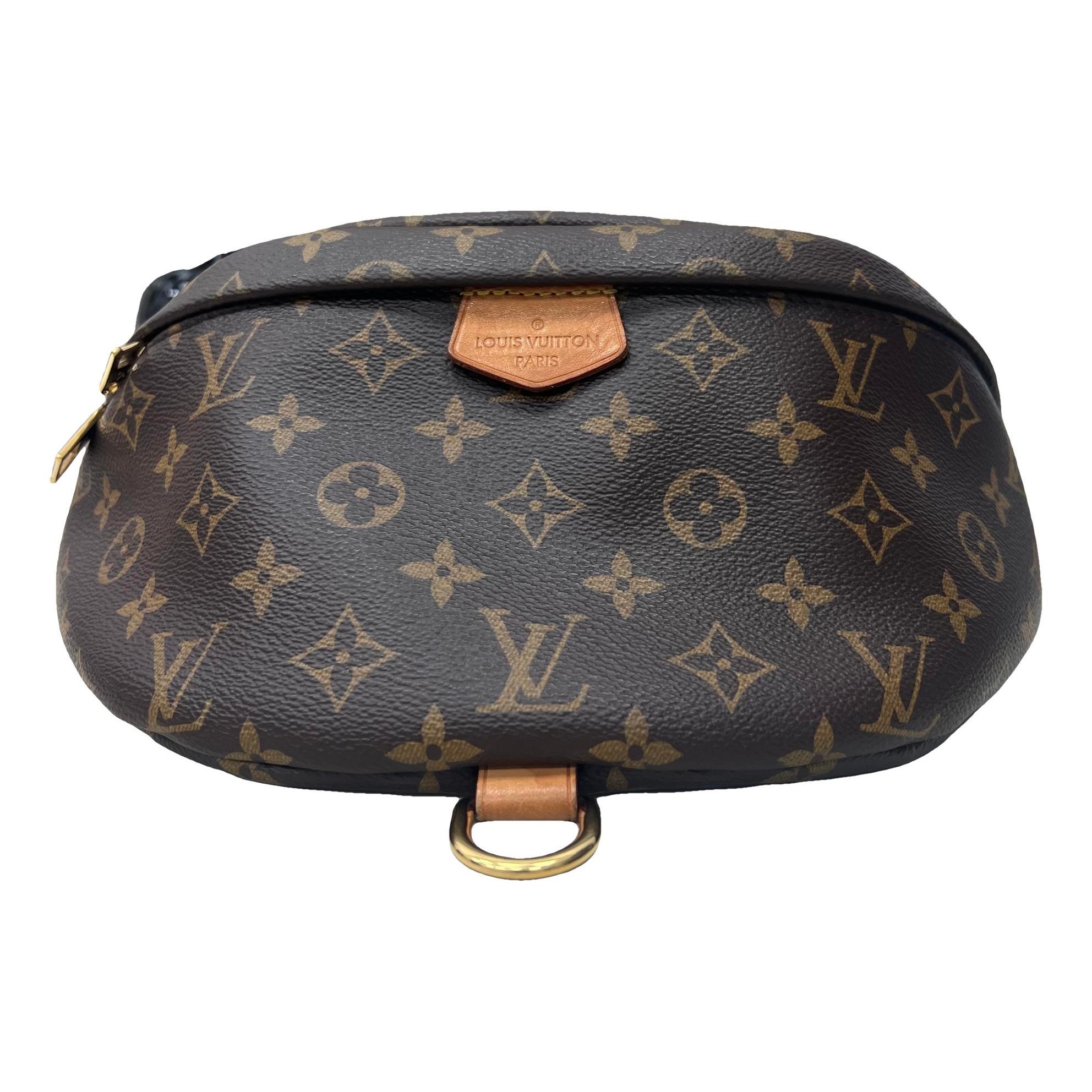 Louis Vuitton Bum Bag / Sac Ceinture leather handbag