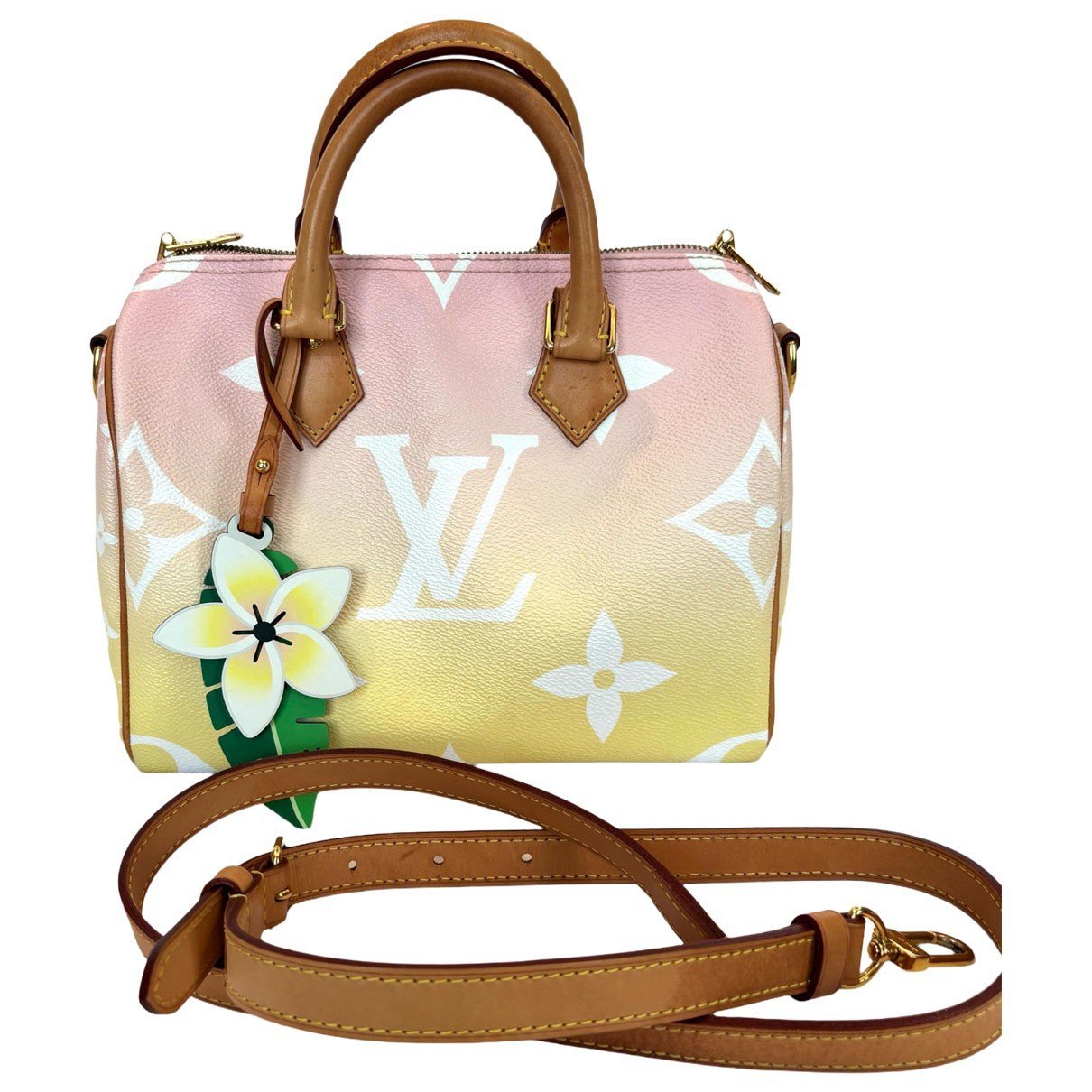 Speedy leather handbag