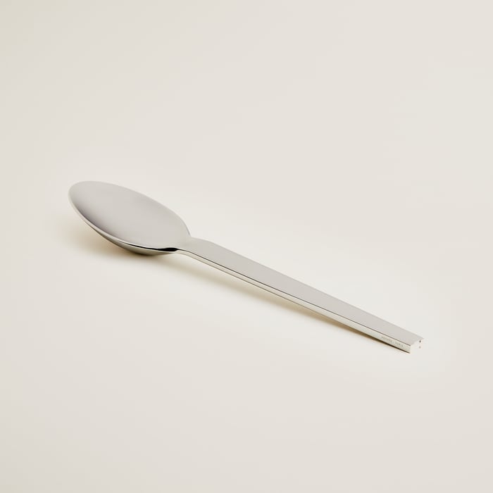 Sans Coloris Hts Serving Spoon