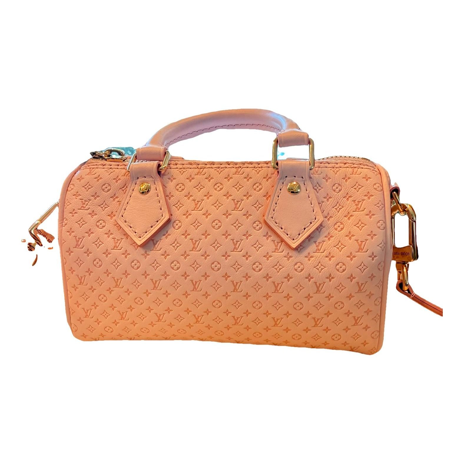 Nano Speedy / Mini HL leather handbag