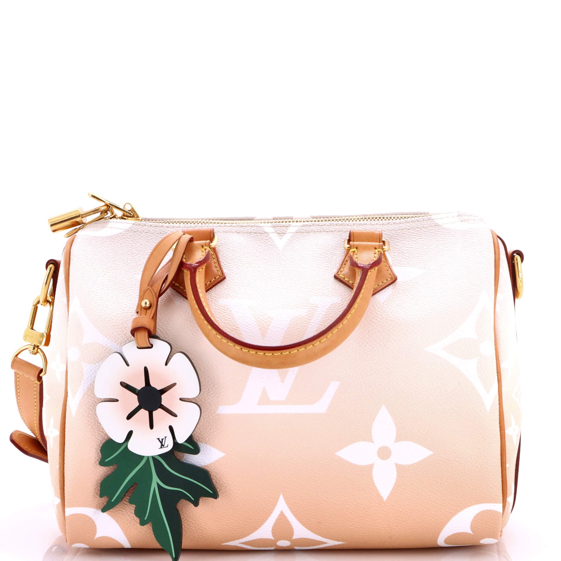 Speedy Bandouliere Bag By The Pool Monogram Giant 25