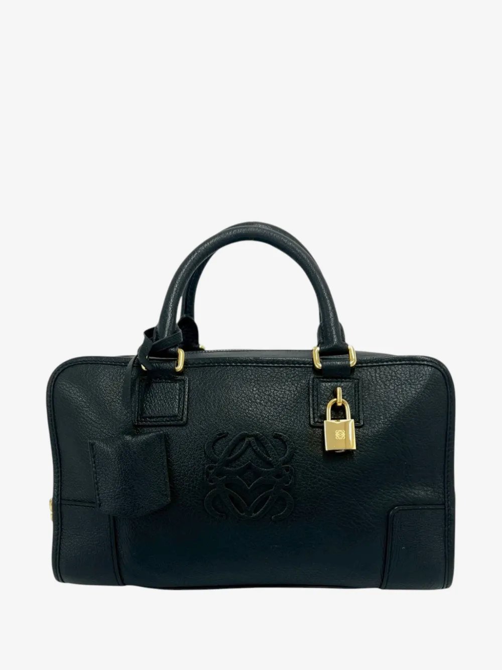 2010-2026 Leather Amazona 28 handbag