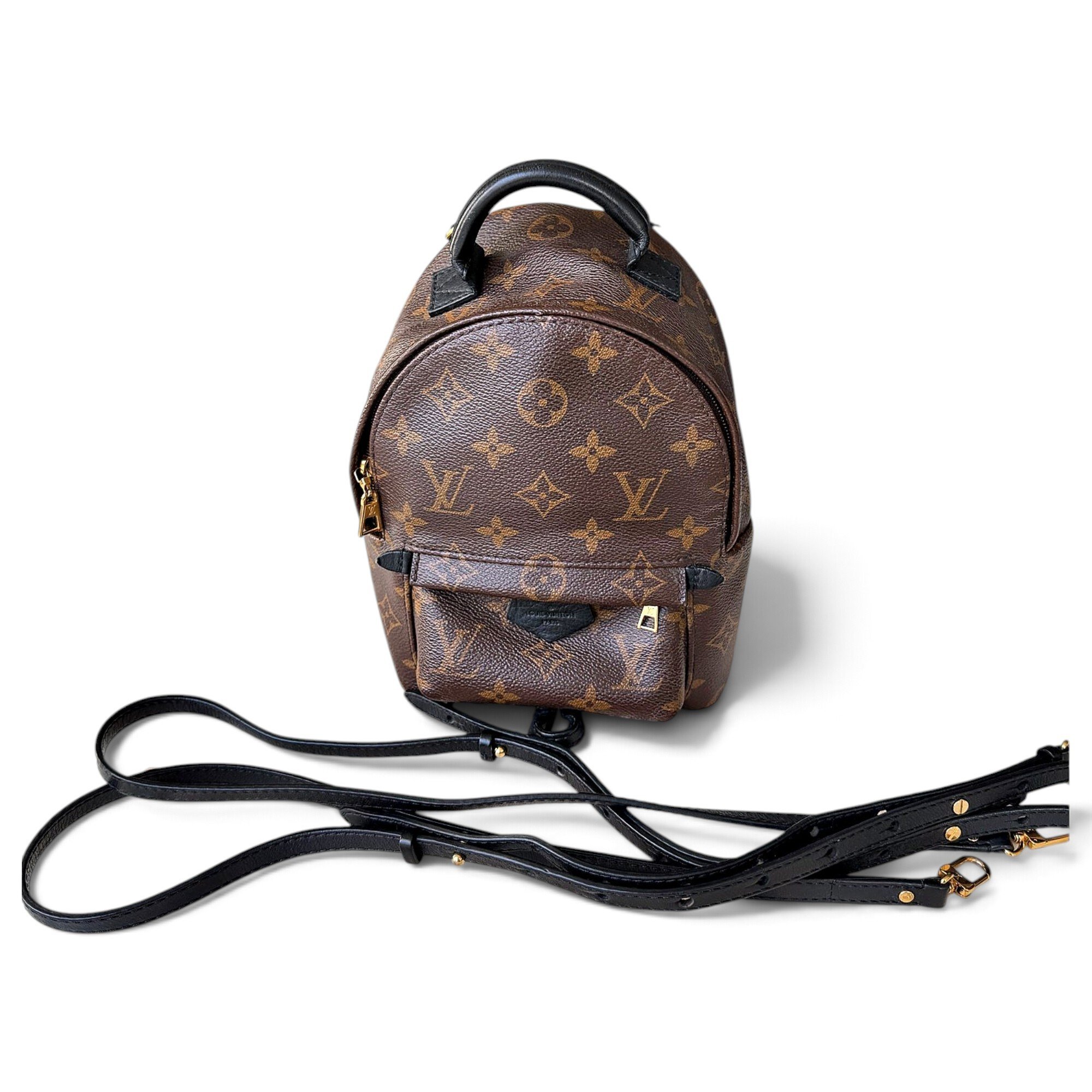 Palm Springs leather backpack