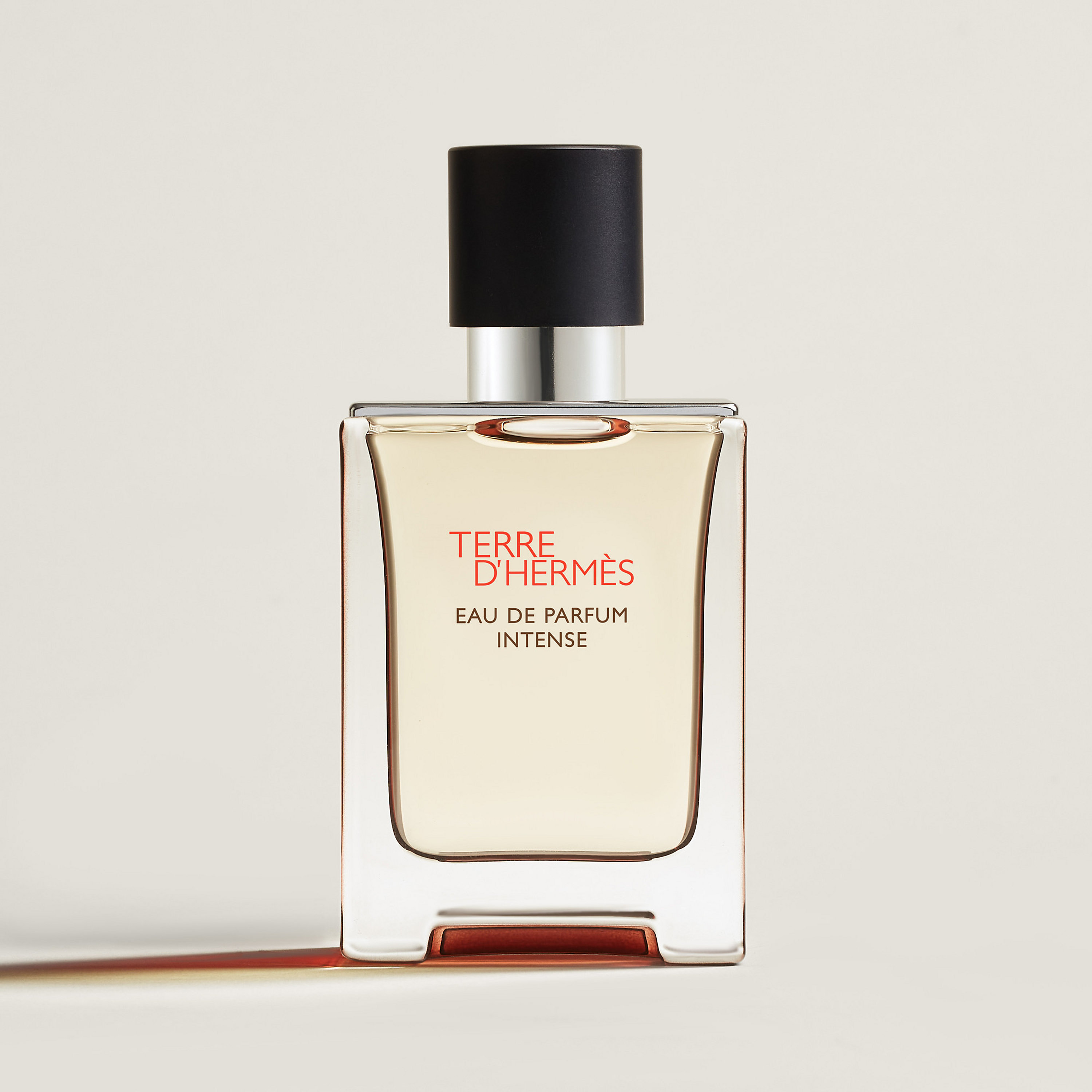 Terre D'hermès Eau De Parfum Intense