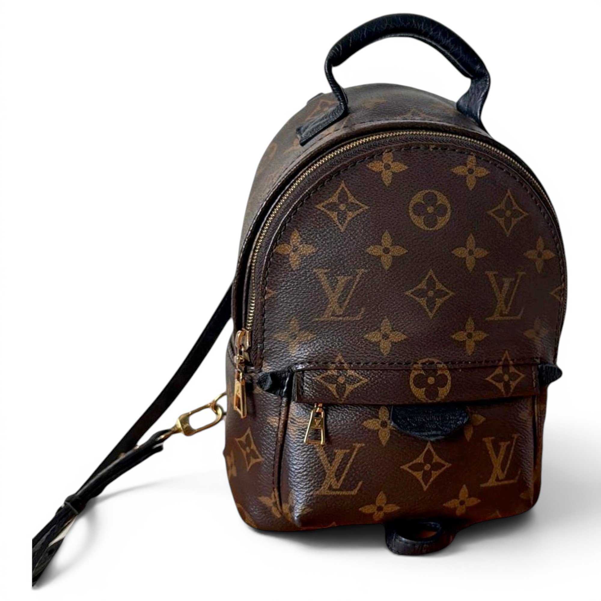 Louis Vuitton Palm Springs leather backpack