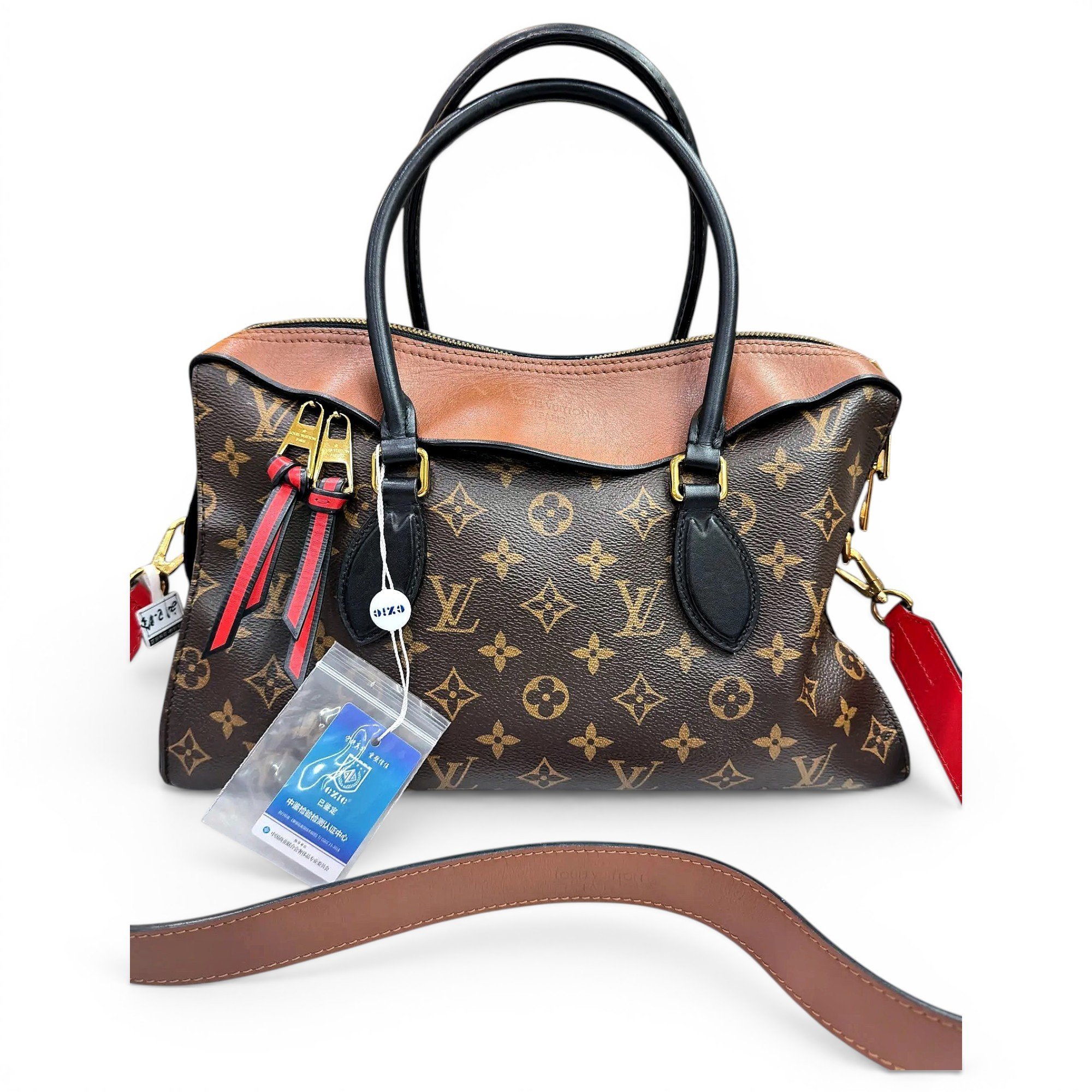 Louis Vuitton Tuileries vinyl crossbody bag