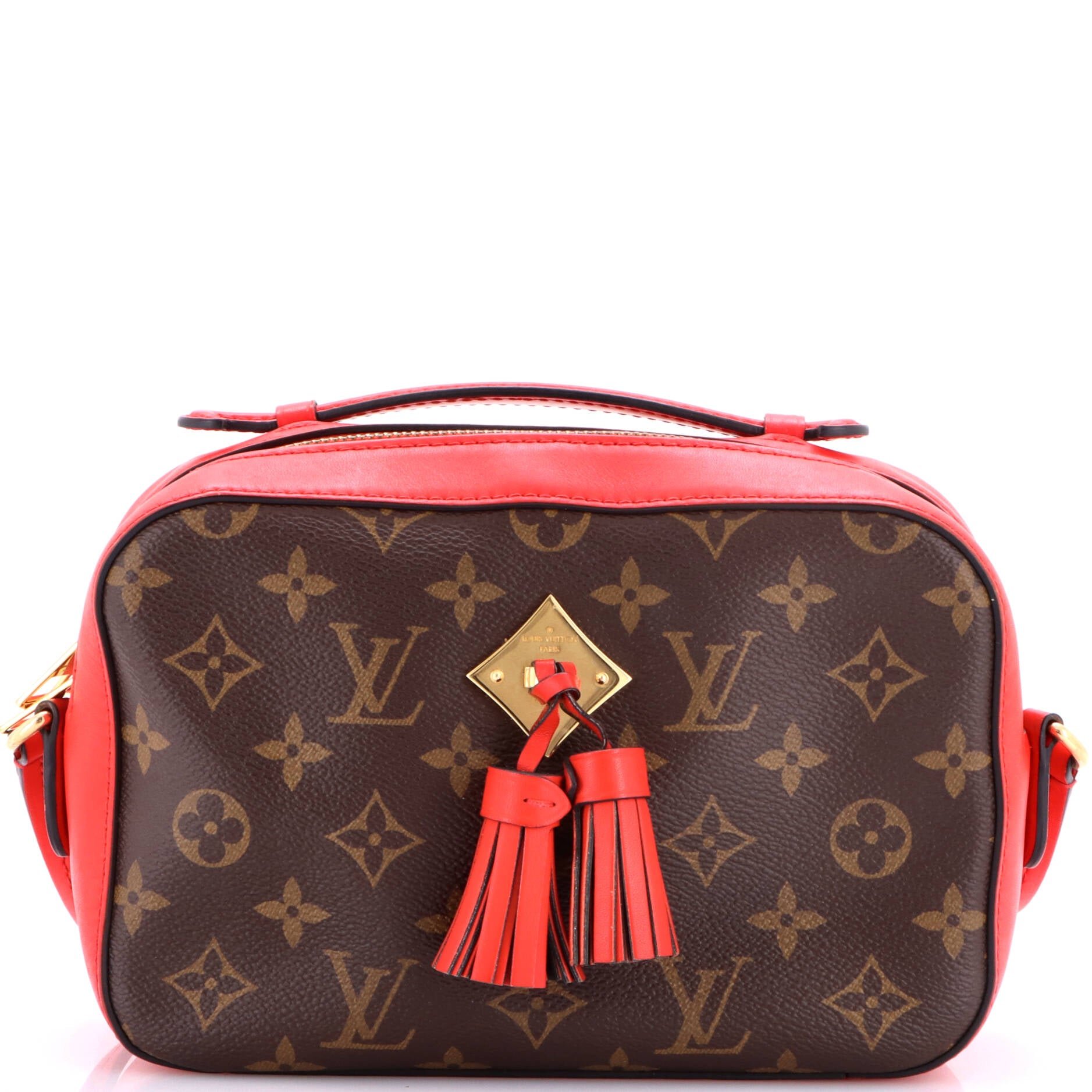 Saintonge Handbag Monogram Canvas with Leather