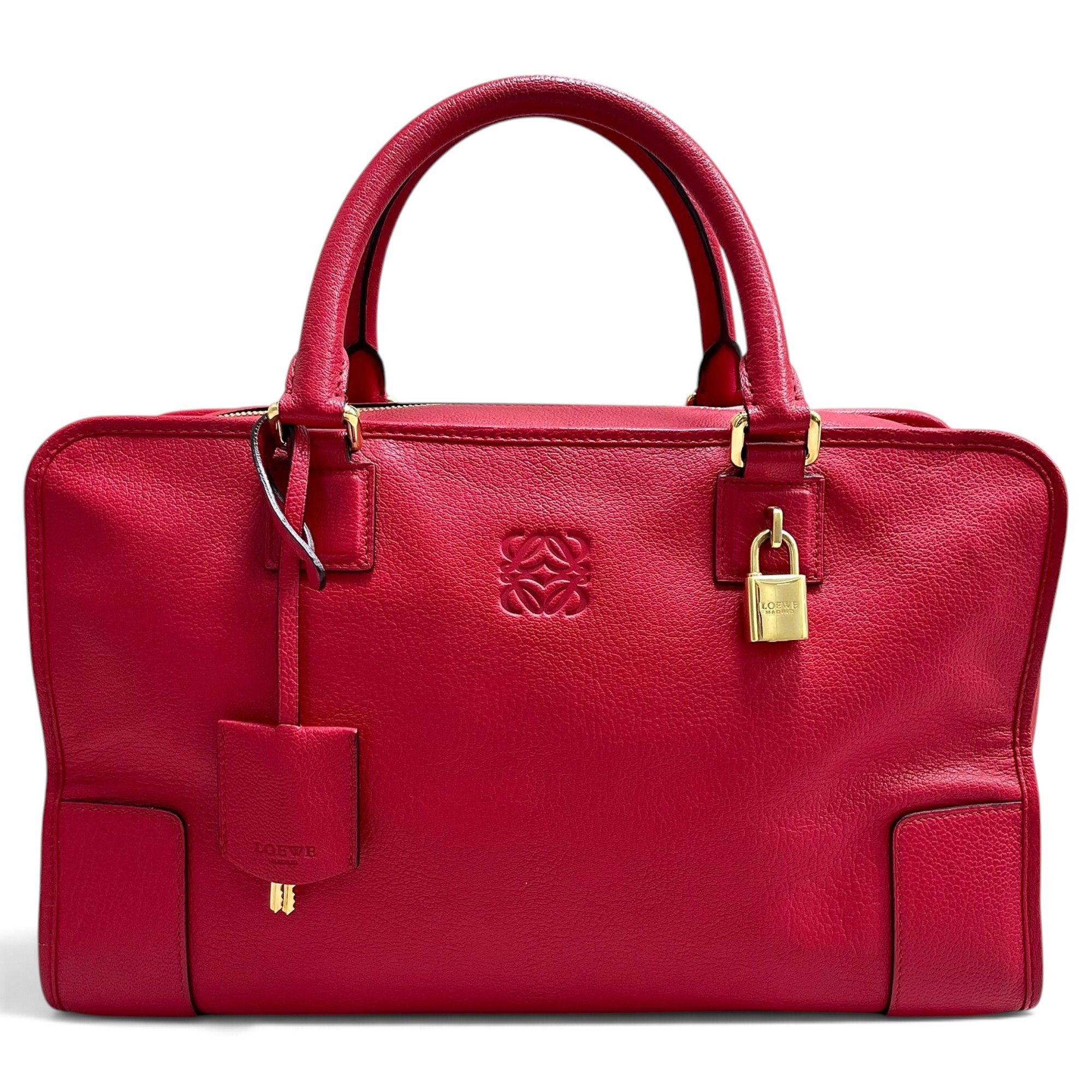 Amazona leather handbag