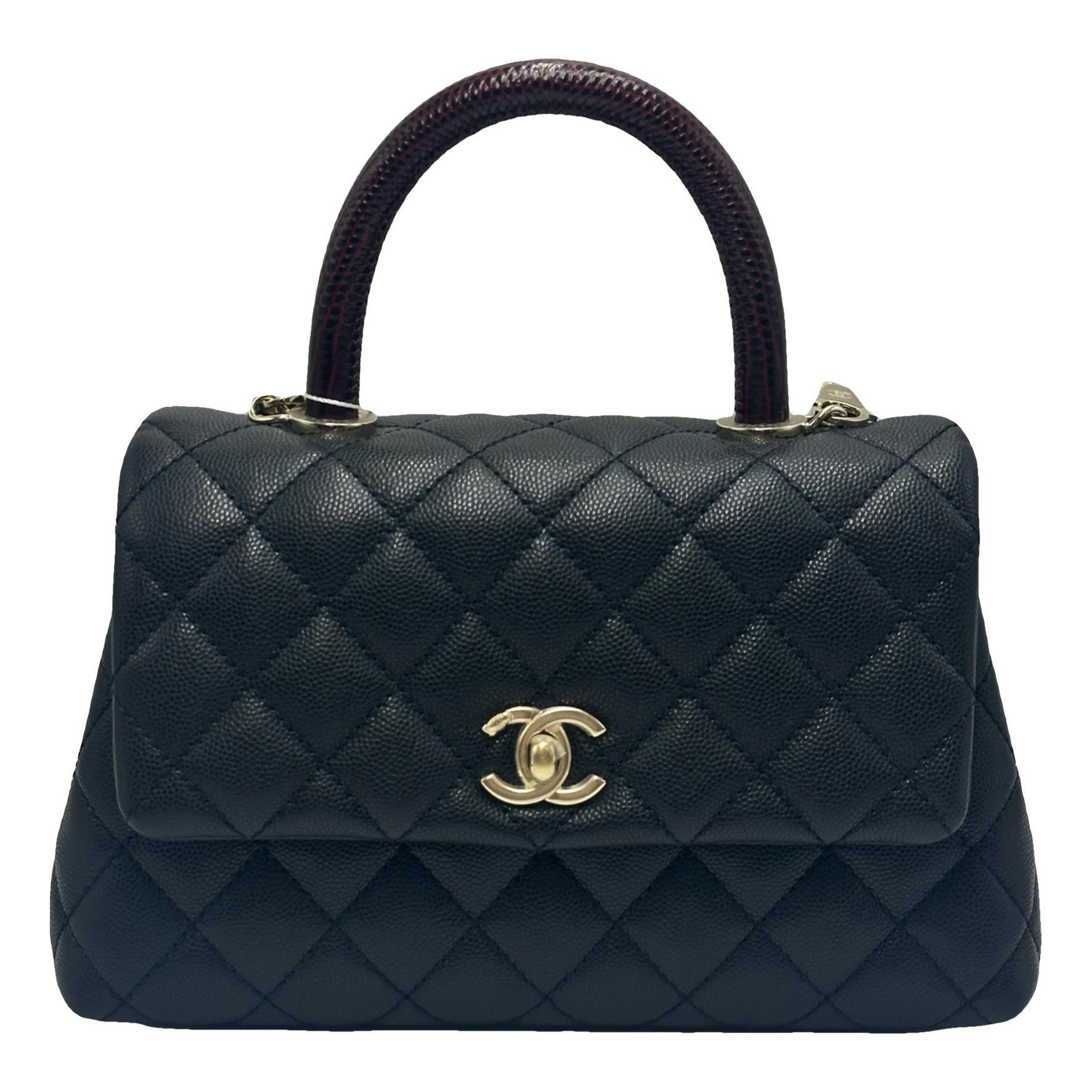 Coco Handle leather handbag